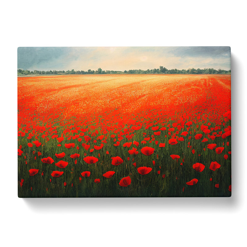 Beautiful Poppies Flowers - Wrapped Canvas Print, 40cm H x 60cm W x 3cm D