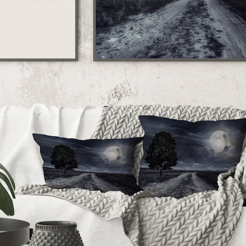 Throw Pillow