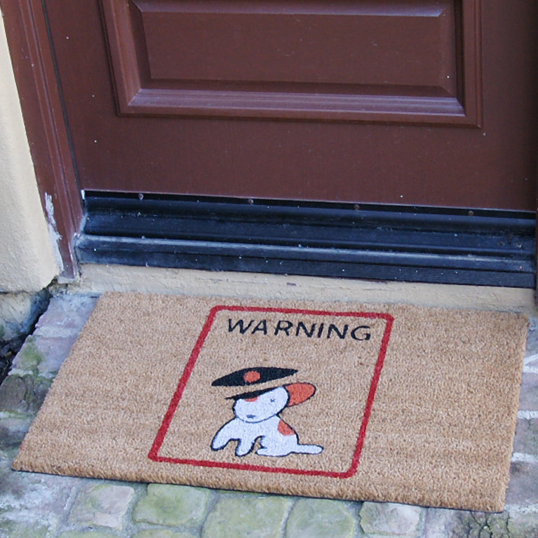 Non-Slip Outdoor Doormat