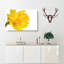 Sole Yellow Daffodil Painting - Wrapped Canvas-56654336