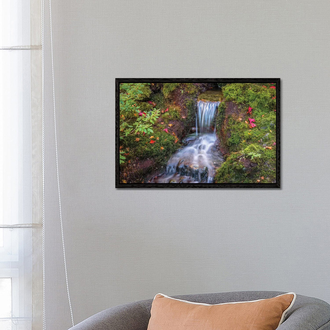 Tranquility Falls von Tim Oldford - Gallery-Wrapped Canvas Giclée on Canvas