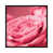 Pas de tapis sélectionné