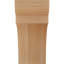 Sapin Douglas Douglas, l 5 5 po x P 12 po x H 12 po-1347682751-1347682748-1347682787