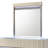 Velmora Mirror Gray