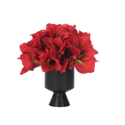 Amaryllis, Red, Ceramic Vase, 15wx15dx14h