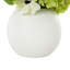 Cole et feuillage naturel en tissu gris avec feuilles vertes et vase rond en céramique