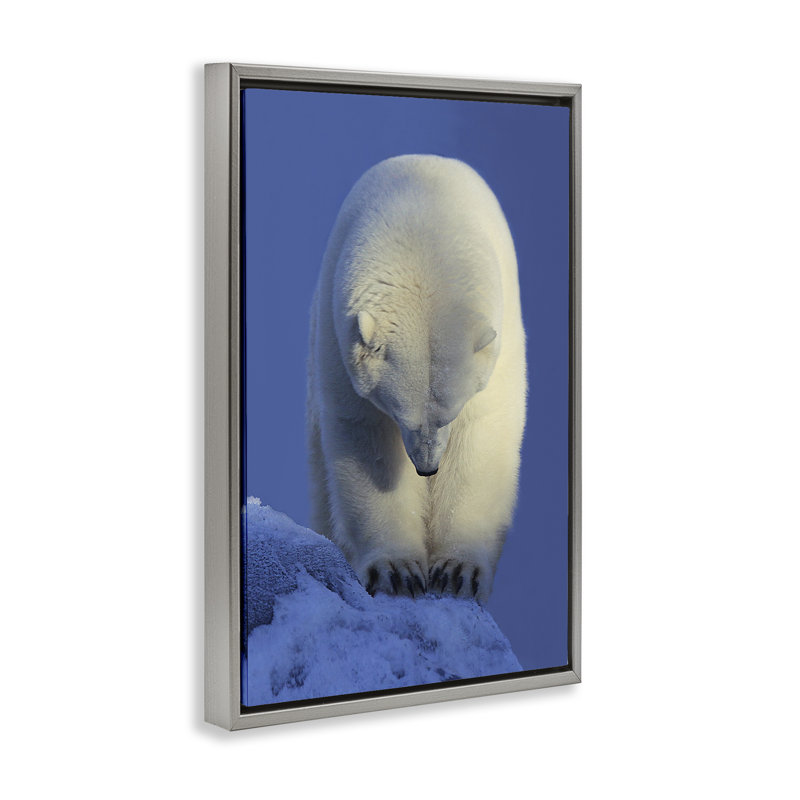 Toile flottante encadrée «Contemplation» par Shane Lamb, Cadre flottant gris lustré, H 31 po x l 21 po