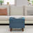 18.5" Wide Rectangle Storage Ottoman Stool, Entryway Ottoman Chairs,Footstools-1008855117