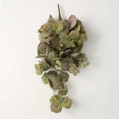 Hatherleigh Begonia Arrangement