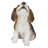 Beagle Puppy Howling