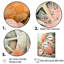 «Coral Pirate Wheel Memory I - Beach and Ocean Wall Art Living Room»-95884219-134568868