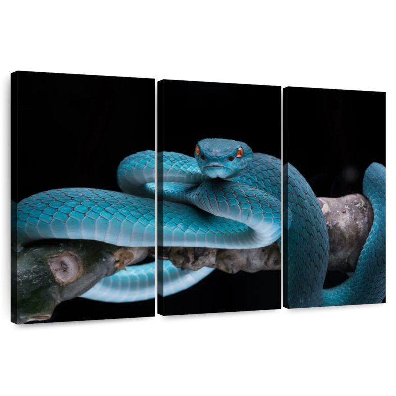 Brampt Snake On Branch, 42" H x 65" W