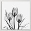 Tulips - Wrapped Canvas Print-157539711