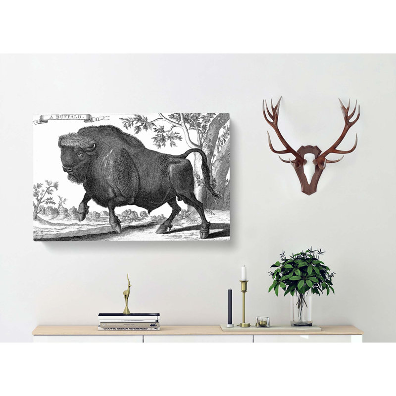 Buffalo by Thomas Astley - Wrapped Canvas Print, 35cm H x 50cm W x 3cm D