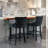 Contemporary Leisure Barstools