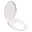 Bidet SpaLet AquaWash