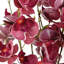 Plastic, Silk Artificial Arrangement-89222307