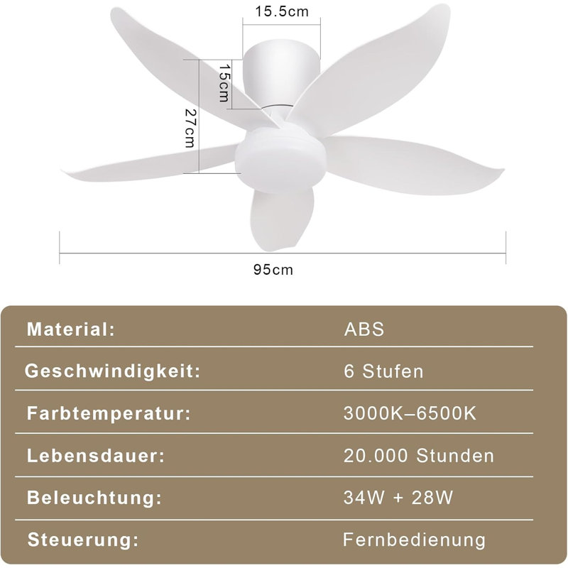 Ceiling Fan