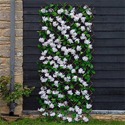 Nolin 180cm H x 60cm W Wood Expanding Trellis