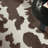 Aura Faux Cowhide Print Machine Washable Beige / Brown Non-Slip Area Rug-719216612