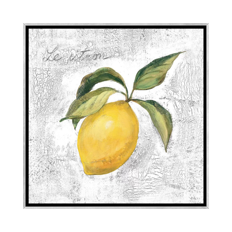 Le Citron sur blanc par Silvia Vassileva - reproduction d'art, Silver Framed, Pas de tapis, H 37 po x l 37 po x P 1,5 po