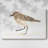 Pretty Piper IV-Gallery Wrapped Canvas-1711150247