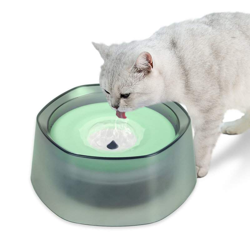 Pet Bowl, Green