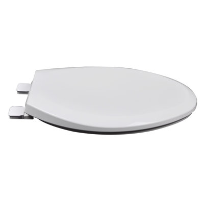 Elongated Toilet Seat and Lid