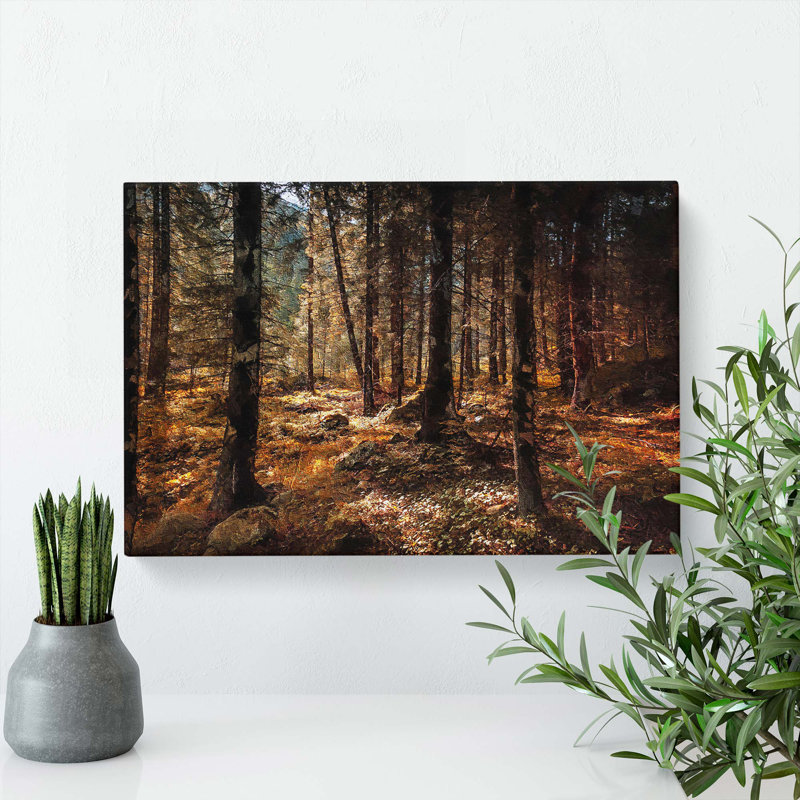 Within The Woods - Wrapped Canvas, 35cm H x 50cm W x 3cm D