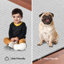 Tapis ivoire Furnish My Place-885072265