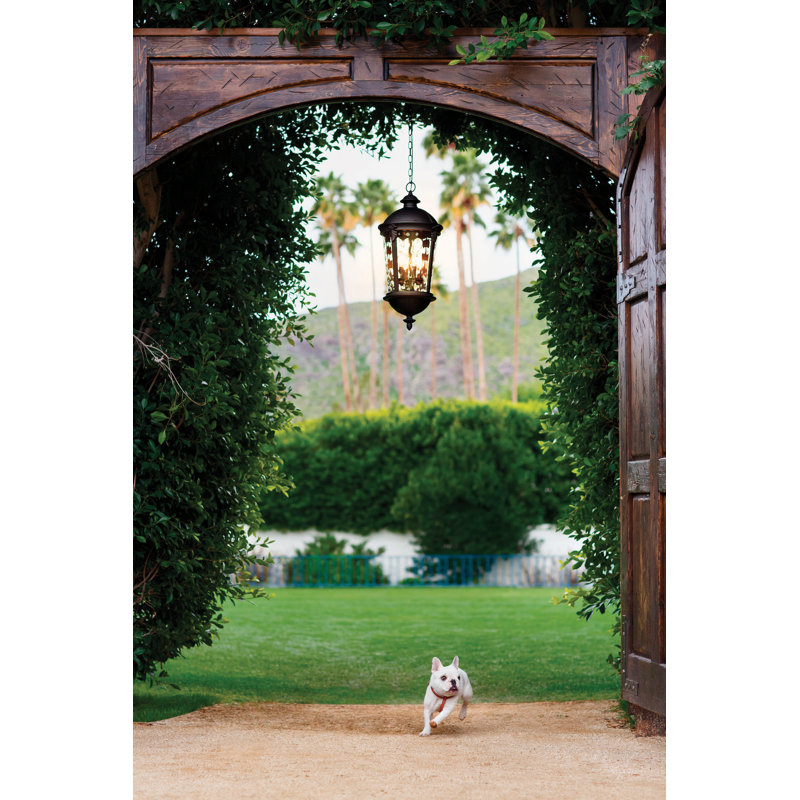 Windsor 4 -Bulb 28.5" H Outdoor Hanging Lantern, Black
