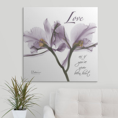 Orchid Love X-Ray Albert Koetsier - Print