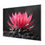 Cactus rose, gris, beauté florale - décoration murale cactus floral-1405995138-1569015993
