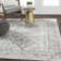 Lake City Oriental Area Rug