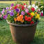 Grand pot de fleurs extérieur rond en polyrésine Anjelica - 20 po - Noir mat-192877315-192877319-192877340