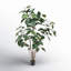 Solerno Faux Tree in Pot Liner-711947431