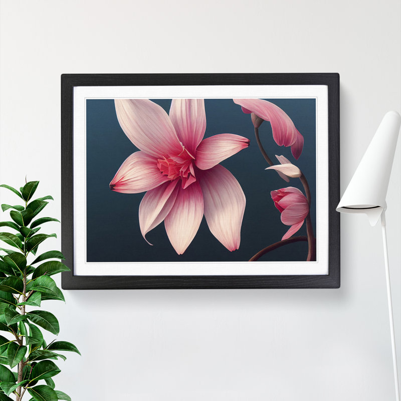 Stunning Flower - Single Picture Frame Print, Black, 34cm H x 46cm W x 2cm D