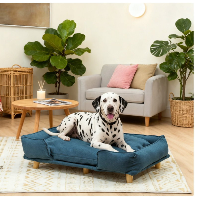 Canapé surélevé pour animal de compagnie avec coussin confortable