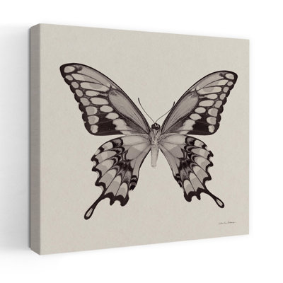 Papillon VI, art contemporain gris
