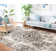 Bryker Oriental Hand Woven Area Rug