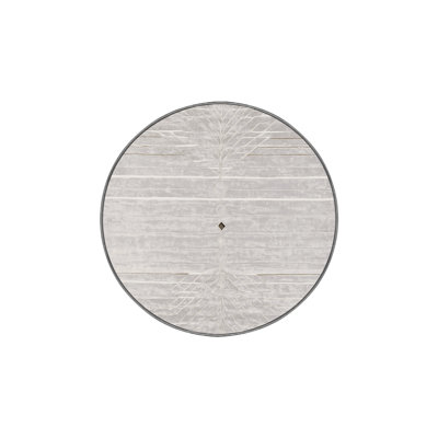Machine Washable Gray Area Rug