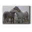 Affection - reproduction de photo sur toile tendue-1544911468