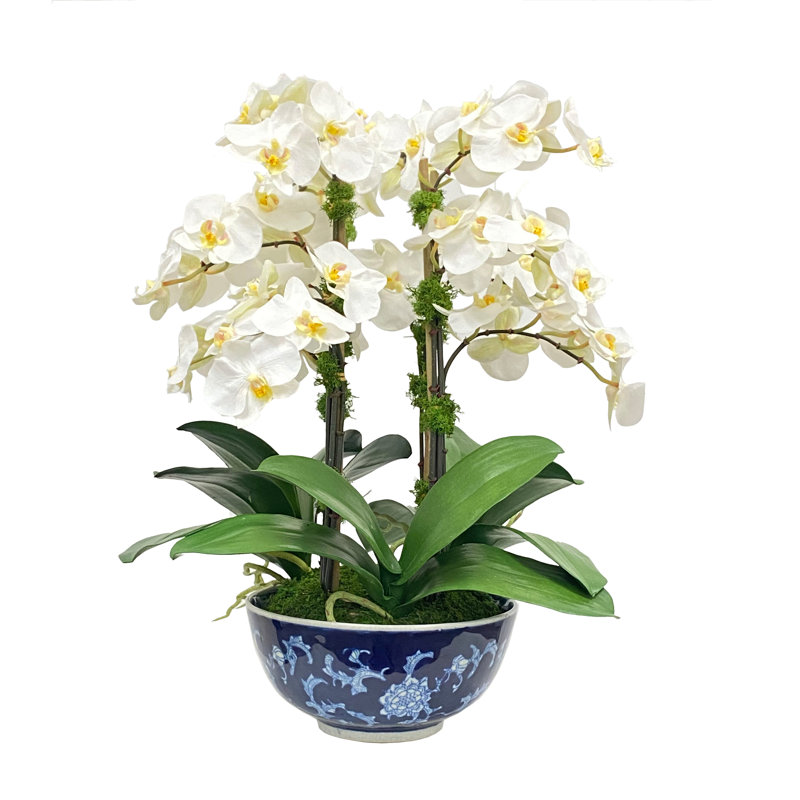 Faux Silk Orchid Arrangement in Pot
