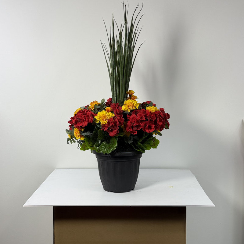 Centre d'intérêt Marigold en pot