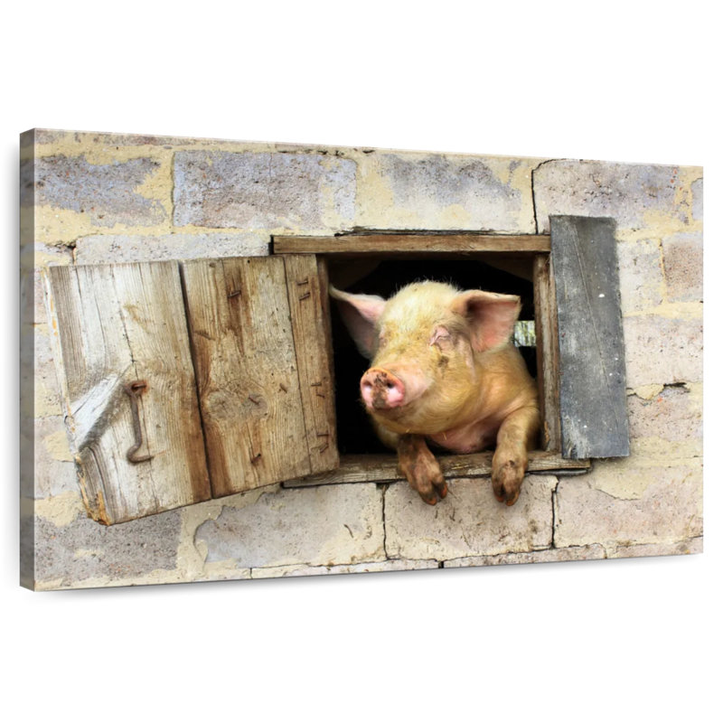 Brampt souriant cochon