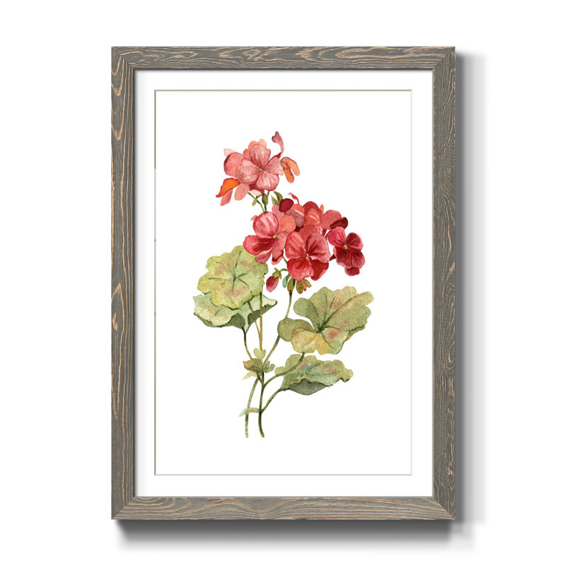 Écarlate géranium - Reproduction d'art sur papier encadrée, gris, H 37,5 po x l 27,5 po x P 1,5 po