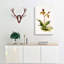 Magnolia Flowers Illustration Tab. 77 by Frederick Sander - Wrapped Canvas-55309634