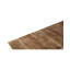 Area Rug in Brown