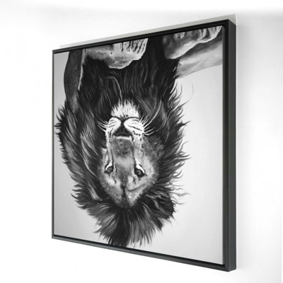 "Le roi lion"