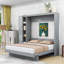 Wooden Murphy Bed with LED Lighting, Wardrobe and Storage Shelves-1652238063-1652238066